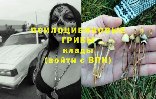 первитин Медногорск