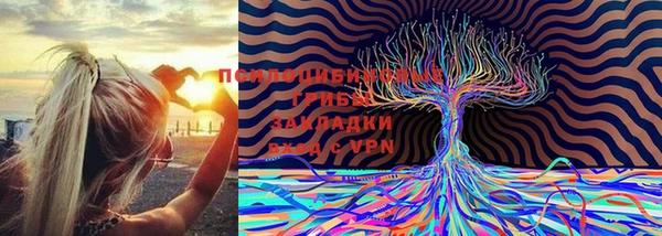 прущий лед Михайлов