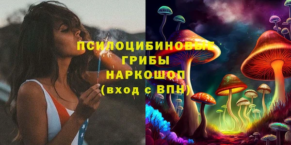 твердый Никольское