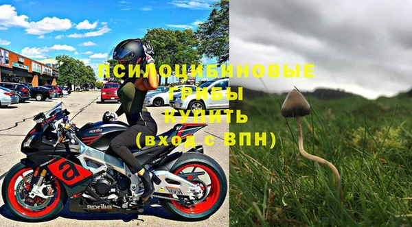 дмт Медвежьегорск