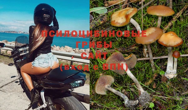 твердый Никольское