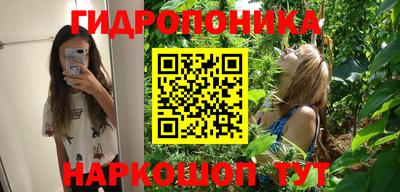 индика Беслан