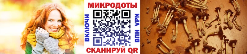 mega маркетплейс  Отрадное  Галлюциногенные грибы прущие грибы 