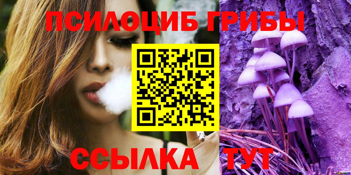 Галлюциногенные грибы Cubensis Отрадное