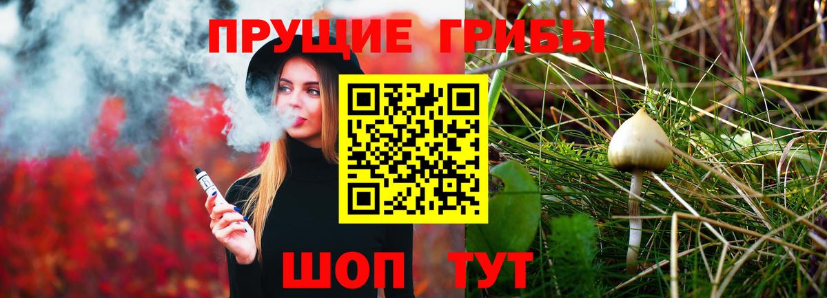 Галлюциногенные грибы GOLDEN TEACHER  Отрадное  Псилоцибиновые грибы Psilocybine cubensis 