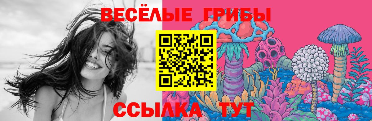 Псилоцибиновые грибы ЛСД Отрадное