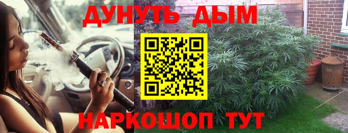 Каннабис MAZAR  Вход с VPN  Канабис план  Марихуана семена  Отрадное 